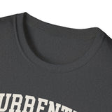 Currently in Bulk. Do Not Disturb Shirt, Funny Sourdough Shirt, Sourdough Starter Gift, Bread Baker Tee, Homestead Baking Gift