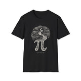 Surreal Math Teacher Shirt, Pi to Spiral Staircase Illusion Art Tee, Math Teacher Gift, Teacher Tee, Back to School Gift