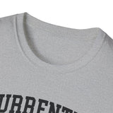Currently in Bulk. Do Not Disturb Shirt, Funny Sourdough Shirt, Sourdough Starter Gift, Bread Baker Tee, Homestead Baking Gift
