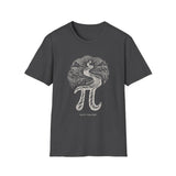 Surreal Math Teacher Shirt, Pi to Spiral Staircase Illusion Art Tee, Math Teacher Gift, Teacher Tee, Back to School Gift