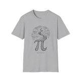 Surreal Math Teacher Shirt, Pi to Spiral Staircase Illusion Art Tee, Math Teacher Gift, Teacher Tee, Back to School Gift