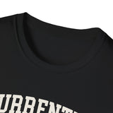 Currently in Bulk. Do Not Disturb Shirt, Funny Sourdough Shirt, Sourdough Starter Gift, Bread Baker Tee, Homestead Baking Gift