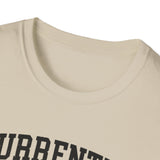Currently in Bulk. Do Not Disturb Shirt, Funny Sourdough Shirt, Sourdough Starter Gift, Bread Baker Tee, Homestead Baking Gift